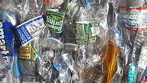 Bottles and Cans Recycling